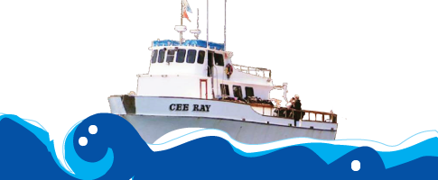 CeeRay Dive Boat